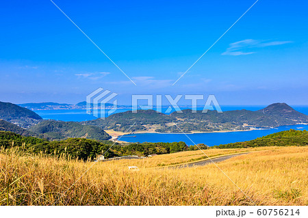 川内峠の秋景色・草紅葉 【長崎県平戸市】 川内峠の秋景色・草紅葉 【長崎県平戸市】 60756214
