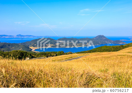 川内峠の秋景色・草紅葉　【長崎県平戸市】 60756217