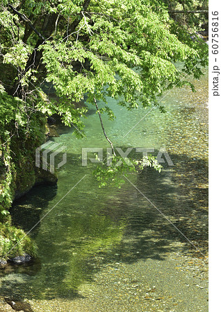 清流　渓流 60756816