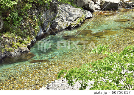 清流 渓流 清流 渓流 60756817