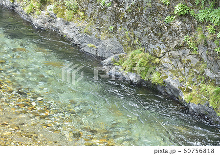 清流　渓流 60756818
