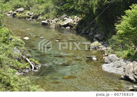 清流 渓流 清流 渓流 60756819