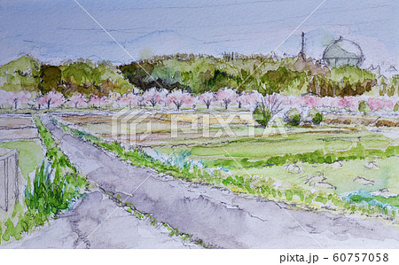 親水公園の春 水彩のイラスト素材 [60757058] - PIXTA