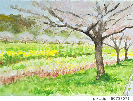 親水公園の春 水彩のイラスト素材 [60757071] - PIXTA