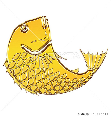 鯛 金色 金 真鯛 たい 黄金 タイ イラストのイラスト素材