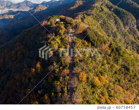 秋の高屋神社 60758457