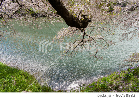 東京 東京都 日本 60758832