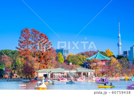 東京　上野公園　秋の不忍池 60759438