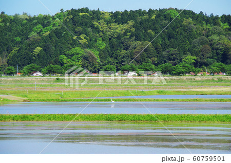 田植え前の田園風景 … 島根県 安来市 天候：晴れ 60759501