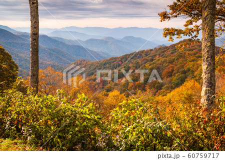 Smoky Mountains National Park, Tennessee autumn 60759717