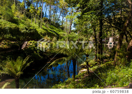 Gardens of Pena Park at the municipality of Sintra Gardens of Pena Park at the municipality of Sintra 60759838