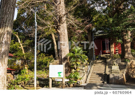 白髭神社 白髭神社 60760964
