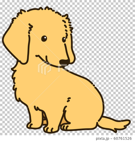 坐著臘腸犬 60761526