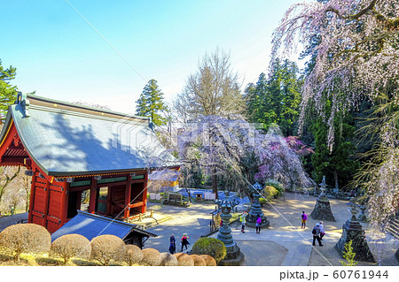 桜咲く妙義神社１ 60761944