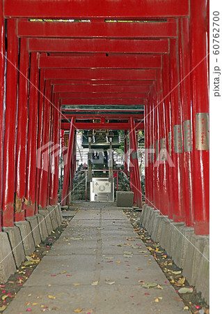 花園神社 60762700