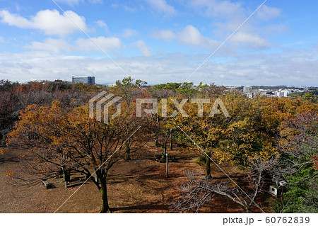生田緑地枡形山広場 生田緑地枡形山広場 60762839