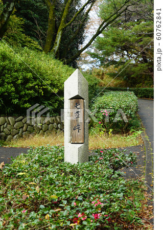 生田緑地枡形山への道 生田緑地枡形山への道 60762841
