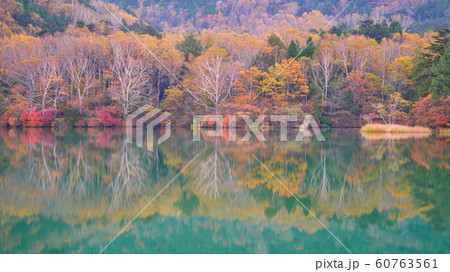 autumn in nikko japan with colorful trees and 60763561