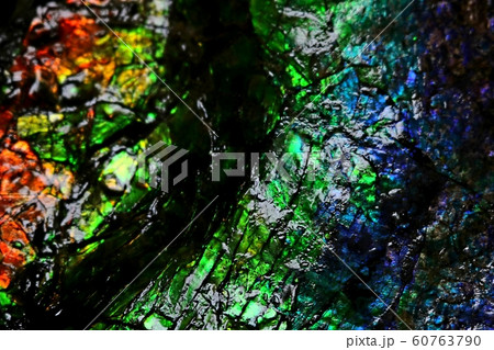 ■ アンモライト ■ 白亜紀 ■ 約7200万年前 ■ アンモナイト ■ アンモライト ■ 白亜紀 ■ 約7200万年前 ■ アンモナイト 60763790