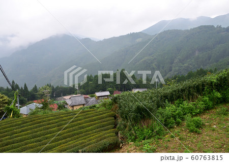 静岡県　国道362号線の風景 60763815