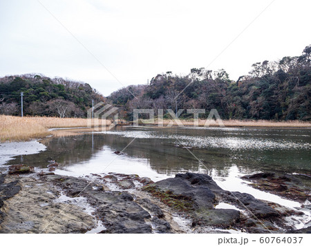 湿原（冬） 60764037