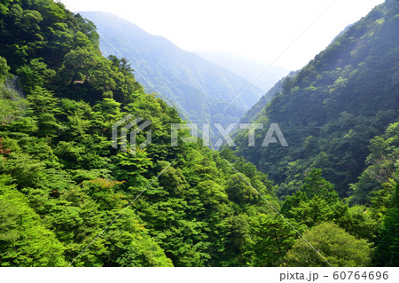寸又峡の風景 寸又峡の風景 60764696