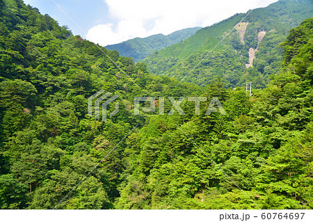 寸又峡の風景 寸又峡の風景 60764697
