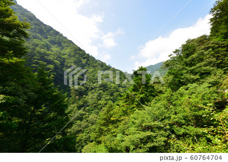 寸又峡の風景 60764704