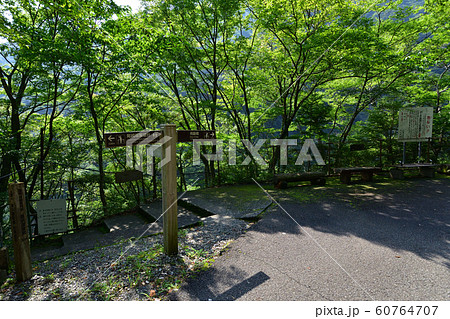 寸又峡の風景 60764707