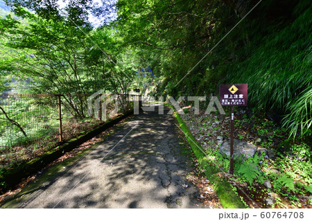 寸又峡の風景 60764708
