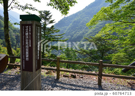 寸又峡の風景 寸又峡の風景 60764713