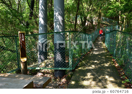 静岡県川根本町寸又峡の風景 静岡県川根本町寸又峡の風景 60764716