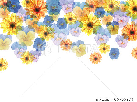 パンジー ビオラ ガーベラ水彩画のイラスト素材