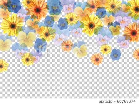 パンジー ビオラ ガーベラ水彩画のイラスト素材