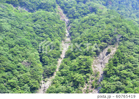 寸又峡の風景 60765419