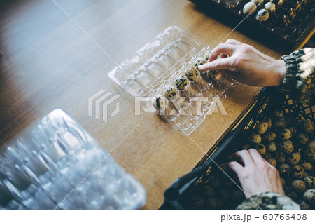 egg shell plastic worker sorting packaging quail egg shell plastic worker sorting packaging quail 60766408