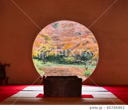 鎌倉 明月院 鎌倉 明月院 60766862