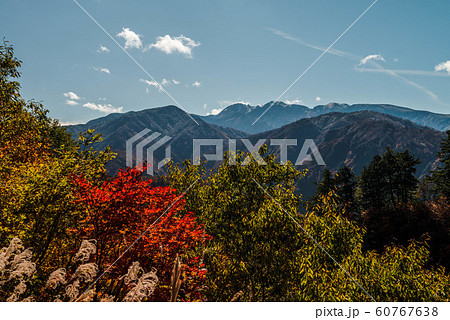 白山白川郷ホワイトロードの紅葉 白山白川郷ホワイトロードの紅葉 60767638