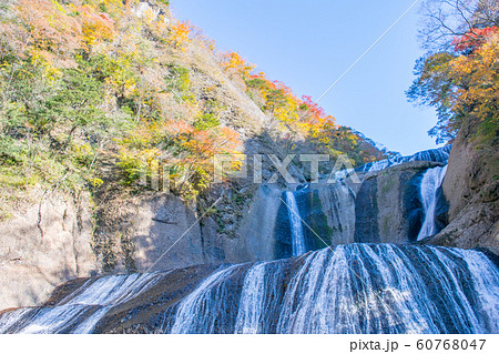 茨城県　日本三大名瀑　袋田の滝　紅葉 60768047