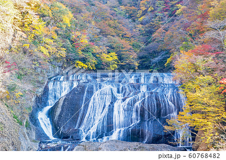 茨城県　日本三大名瀑　袋田の滝　紅葉 60768482