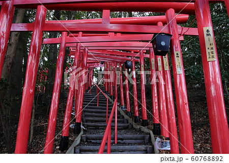 白山稲荷神社　白山神社　愛知県春日井市 60768892