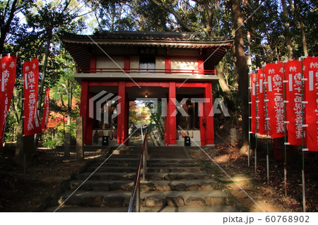 円福寺(圓福寺) 参道と山門 愛知県春日井市 円福寺(圓福寺) 参道と山門 愛知県春日井市 60768902