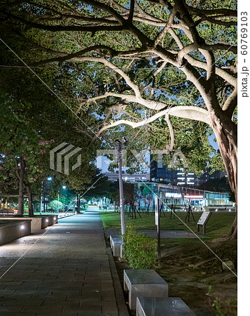 benches on pavement in light lantern at night benches on pavement in light lantern at night 60769103