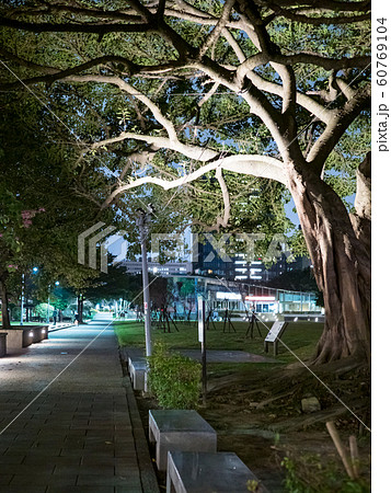 benches on pavement in light lantern at night benches on pavement in light lantern at night 60769104