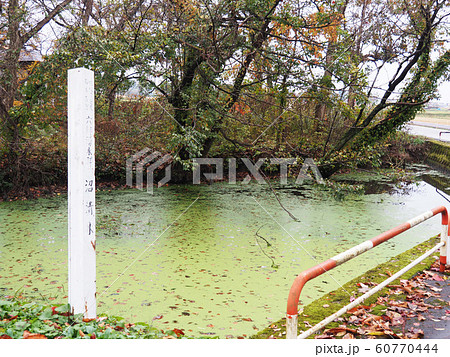 六郷湧水群沼清水 六郷湧水群沼清水 60770444