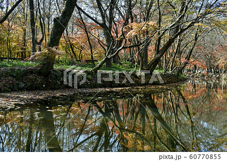 禅雲寺 兜率天 高敞郡 60770855