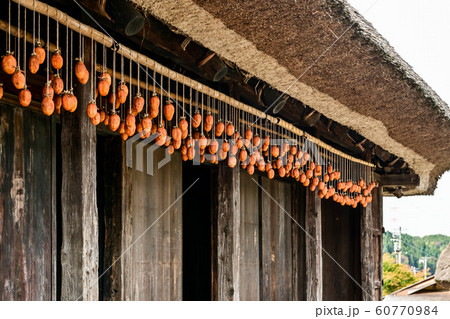 金沢の秋 金沢の秋 60770984