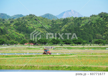写真素材: 水田の代掻き風景 … 島根県 安来市 天候：晴れ 60771677