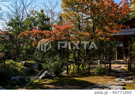 金沢の紅葉 金沢の紅葉 60771800