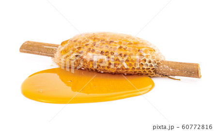 honeycomb with sweet honey on dry branch isolated on white background 60772816